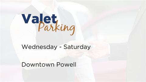 Valet Parking site graphic.png