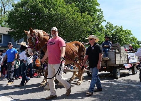 Memorial-Day-Parade-Horse.jpg